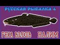 РР4 ВОЛХОВ НАЛИМ / РУССКАЯ РЫБАЛКА 4 ВОЛХОВ НАЛИМ / RUSSIAN FISHING 4 VOLKHOV RIVER BURBOT