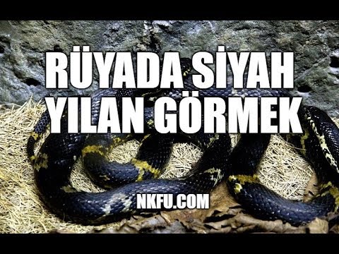 ruyada siyah yilan gormek youtube