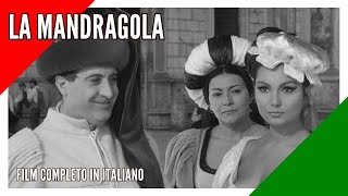 La mandragola I Commedia I Film completo in italiano