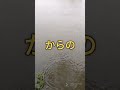 2023.5.7大増水！恐怖です！落ちたら死にますね #fishing #ルアーフィッシング 😱