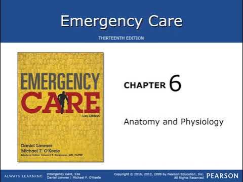 Chapter 6 Anatomy and Physiology - YouTube
