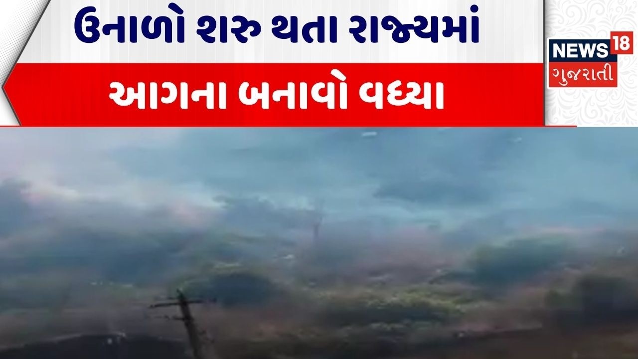 Accidents In Gujarat | ઉનાળો શરુ થતા રાજ્યમાં આગના બનાવો વધ્યા | Sabarkantha | Summer | Mountains