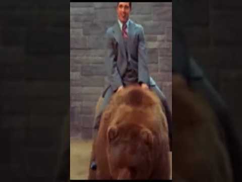NEELY FULLER JR- IM IN TO BEAR 🐻 #neelyfullerjr #carlitoway44