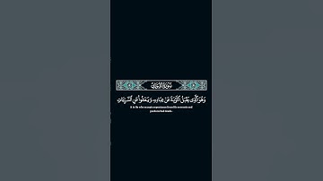 وهو الذي يقبل التوبة عن عباده#سعد_الغامدي #quran #اكسبلور #راحة_نفسية #تلاوة_خاشعة #ترند #surah