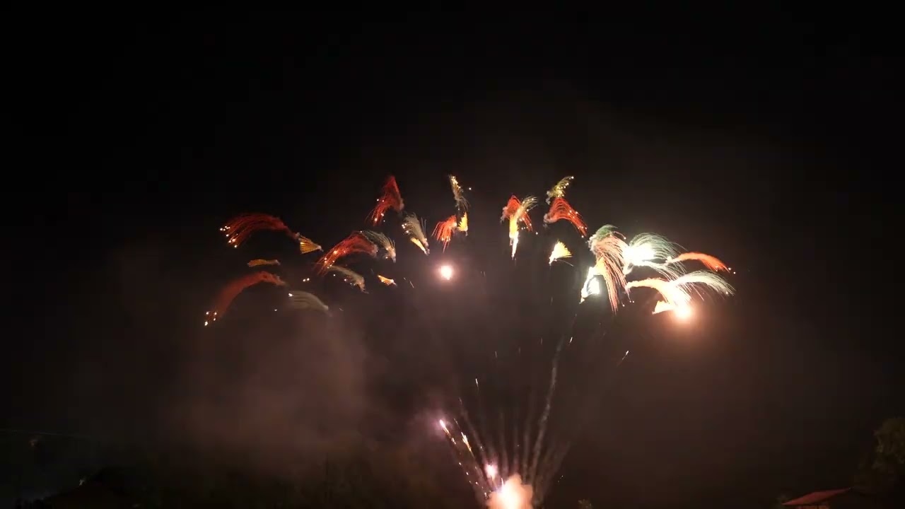 23 1.2" 100shots cake/ Colorful smoke- McFireworks-Malasia Market Fireworks