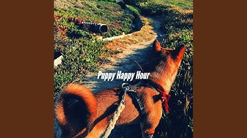 Serene Moods for Cool Pups