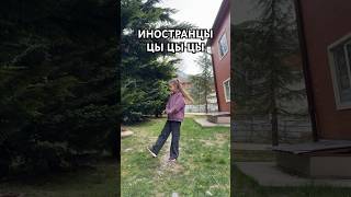 Умеешь танцевать под этот трек? #youtubeshorts #видео #танцы #dance #популярное #хочувтренды #рек