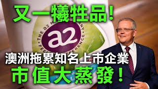 20201219B 又一犧牲品！澳洲拖累知名上市企業市值大蒸發！   |  芒向早晨