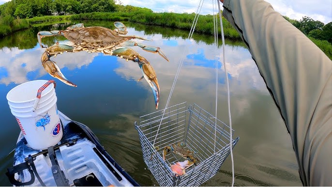 How To Catch Blue Crabs with a Kayak Crabbing Trotline 