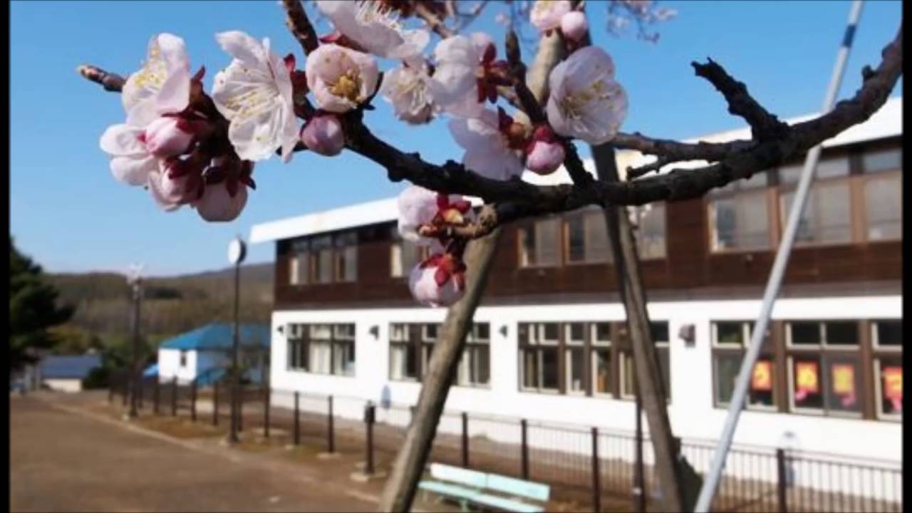 小学校 算数 旭川市立旭川第一小学校校歌