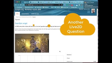 eDelphi: Live Two Dimensional Scale