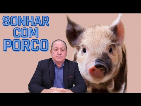 Vídeo: Por Que O Porco Esta Sonhando