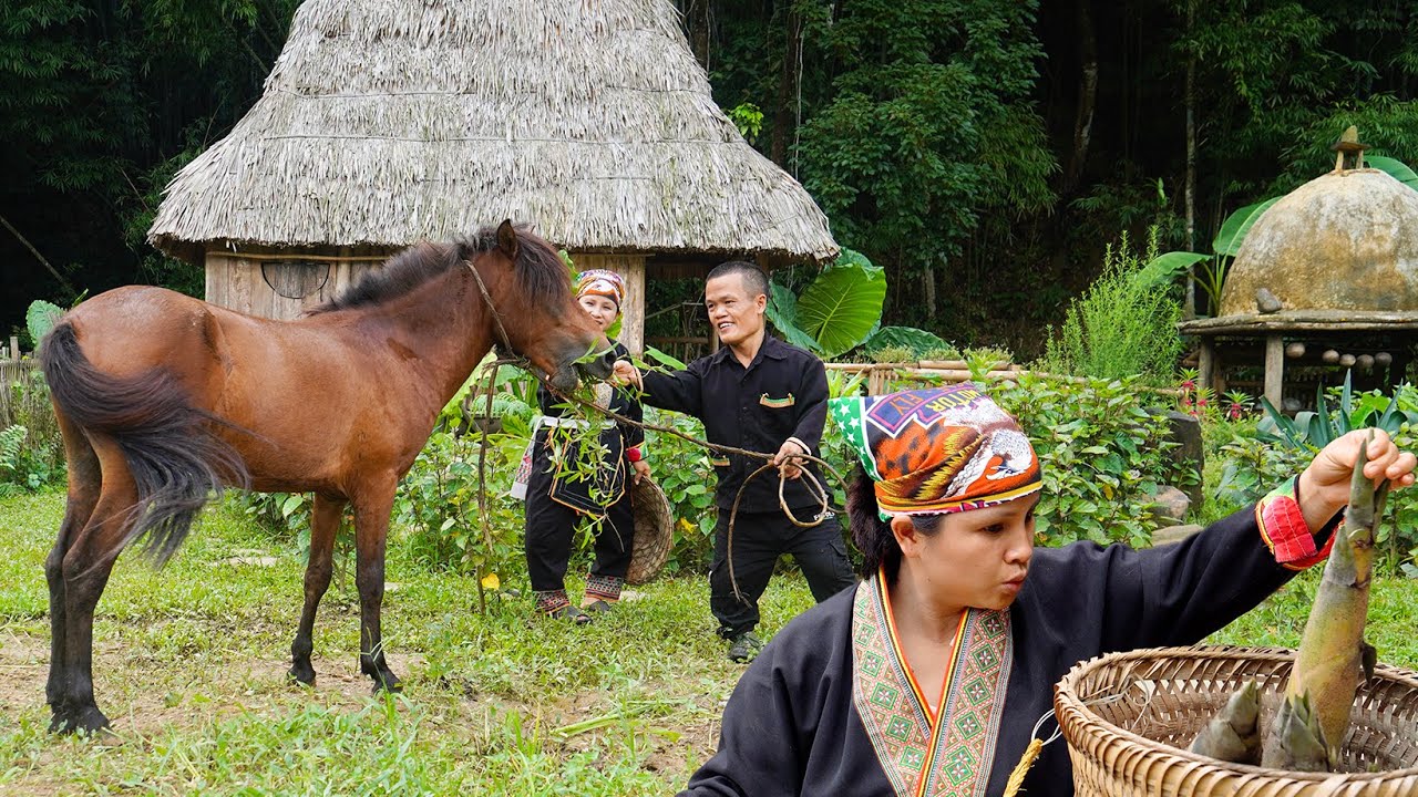 Dwarf Family Harvest Bamboo Shoots and Traps a Wild Horse | Primitive Life