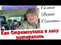 Как Стремоусики в лесу потерялись