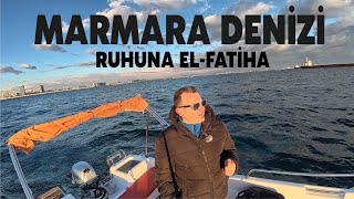 Marmara Deni̇zi̇nde Balik Çeşi̇di̇, 154 Çeşi̇tten 7 Çeşi̇de Düştü Tüi̇k Veri̇leri̇ Korkutucu Boyutta