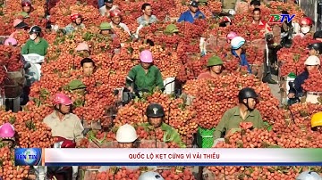 Quốc lộ kẹt cứng vì vải thiều | BLTV