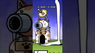 Probe A Asiluga Por Primera Vez Wtf