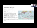 177 Introduction to North Shore fishing 20240821