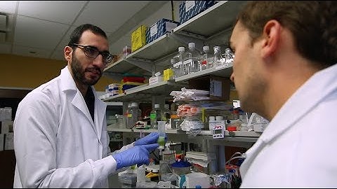 Understanding the Molecular Mechanisms Underlying Neurotransmitters