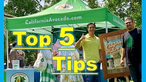 Top 5 Tips  Avocado Planting & Tour  |  w/ Gerardo...