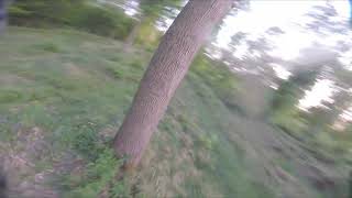 Synapse 4.3 Rc6 Karate Freestyle Tune Preset