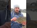 Лещ в Химках #fishing #джиг #fish #лещ #микроджиг #мормышинг #рыбалка