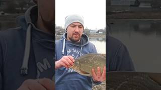 Лещ в Химках #fishing #джиг #fish #лещ #микроджиг #мормышинг #рыбалка