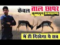 ताल छापर की रोचक यात्रा | Wild Life of Tal Chhapar Sanctuary, Churu Rajasthan