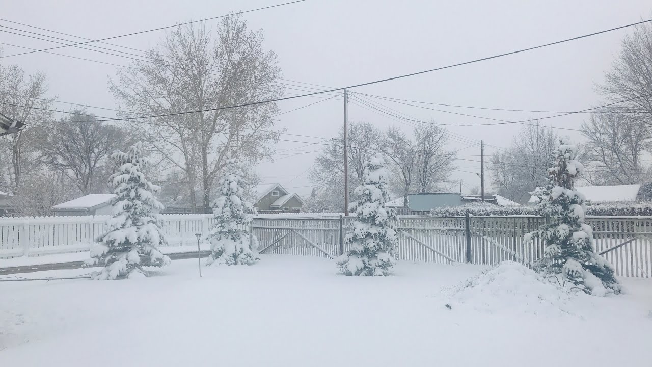 Snowfall rain weather for today claresholm alberta canada YouTube