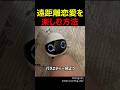 遠距離恋愛を楽しむ方法