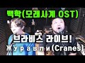 [보컬킹] 브라비스쌤 쌩 라이브 백학(Журавли)모래시계 OST 유튜브 버스킹 중/Cranes/Iosif Kobzon/Dmitri Hvorostovsky/Zhuravli