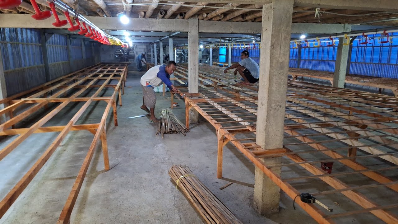 UPGRADE RAK Kandang AYAM pakai DIESEL