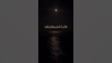 سورة المائدة - عاصم التويجري