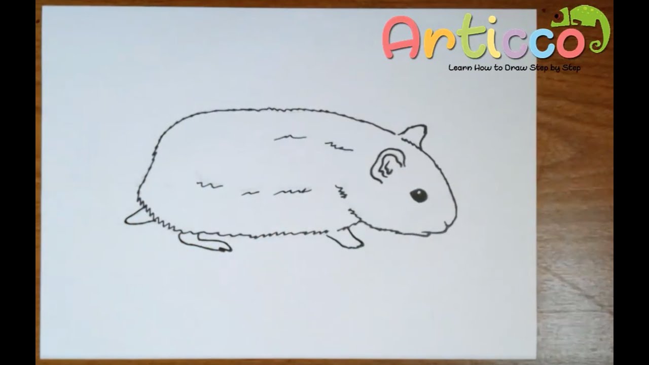 How to Draw a Hamster Step by Step for Kids - YouTube