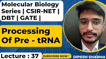 Molecular Biology Lecture 37 | Processing Of Pre - tRNA | Structure Of tRNA |  CSIR NET | GATE | DBT