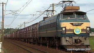 JR貨物 EF66 27号機(広車公開HM掲出)+コキ20B 貨物列車2073レ 西高屋→西条 2013.10