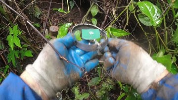 2 ngày 2 đêm ngủ trên rừng đi bấy chuột rừng 