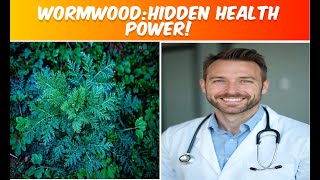 Wormwood Wonders: Surprising Health Benefits & Uses!