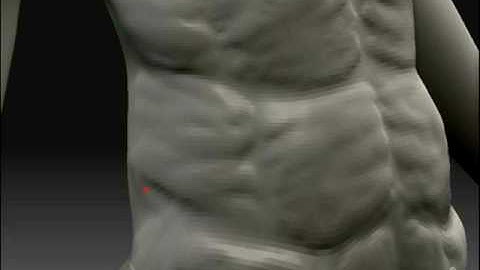 ZBrush Movie majin buu body modeling