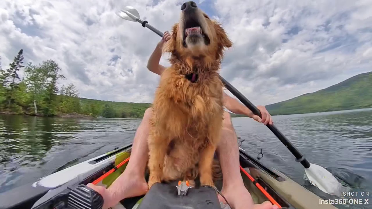 Kayaking with my dog YouTube