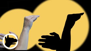 How to Create a HAND SWAN Shadow Puppet 🦢