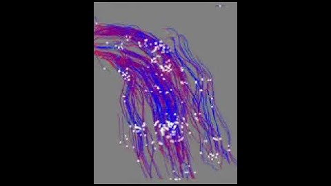 Detecting and tracking individual people in a crowd