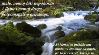 Made in Sandzak 8