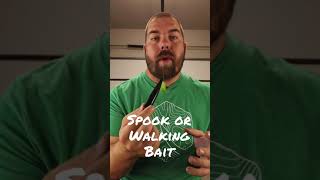 What is a Spook or Walking Bait #shorts