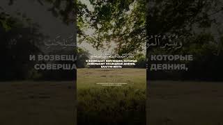 ﷽ | 📚 Сура: Aль-Исра| 🔎 Аяты: 9 #коран
