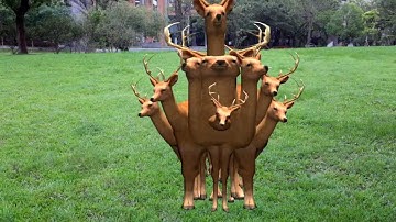 NTU VFX 2013 Assignment #3 MatchMove 45