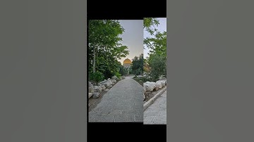 سورة الفلق للقارىء محمد الفقيه مع تصويري من المسجد.الاقصى المبارك