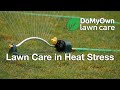 Lawn Care in Heat Stress - Summer Lawn Care Tips | DoMyOwn.com