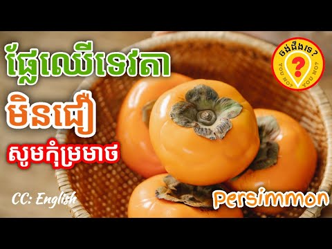 Video: What Is The Danger Of Persimmon For Human Health