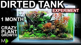 INSANE Dirted Tank After 1 MONTH!! (crazy plant growth with NO co2) | MD Fish Tanks